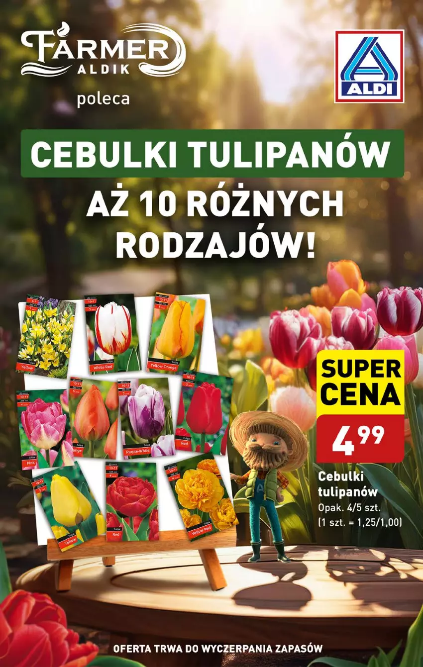 Gazetka promocyjna Aldi - Pełna oferta - ważna 30.09 do 05.10.2024 - strona 41 - produkty: Fa, Tulipan