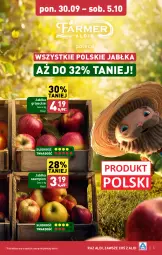 Gazetka promocyjna Aldi - Pełna oferta - Gazetka - ważna od 05.10 do 05.10.2024 - strona 5 - produkty: Szampion, Jabłka