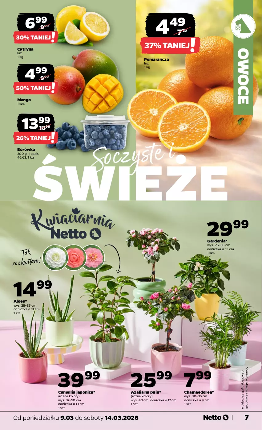 Gazetka promocyjna Netto - Od Poniedziałku - ważna 09.03 do 14.03.2026 - strona 7 - produkty: Borówka, Hama, Mango, Owoce
