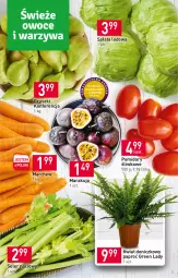 Gazetka promocyjna Stokrotka - Supermarket - Gazetka - ważna od 23.11 do 23.11.2022 - strona 3 - produkty: Sałata lodowa, Sałat, Gruszki, Seler naciowy, Pomidory