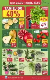 Gazetka promocyjna Aldi - Okazje na weekend - Gazetka - ważna od 27.04 do 27.04.2025 - strona 6 - produkty: Sok, Gra, Róża, Granat, Truskawki, Stek, Siatka, Gruszki, Szyna, Bazyl, Bazylia