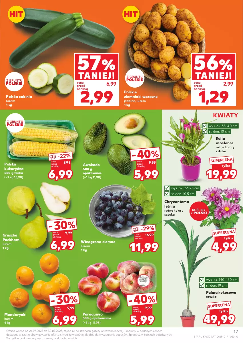 Gazetka promocyjna Kaufland - Gazetka tygodnia - ważna 24.07 do 30.07.2025 - strona 17 - produkty: Chryzantema, Grunt, Kokos, Kukurydza, Mandarynki, Palma, Wino, Winogrona, Ziemniaki