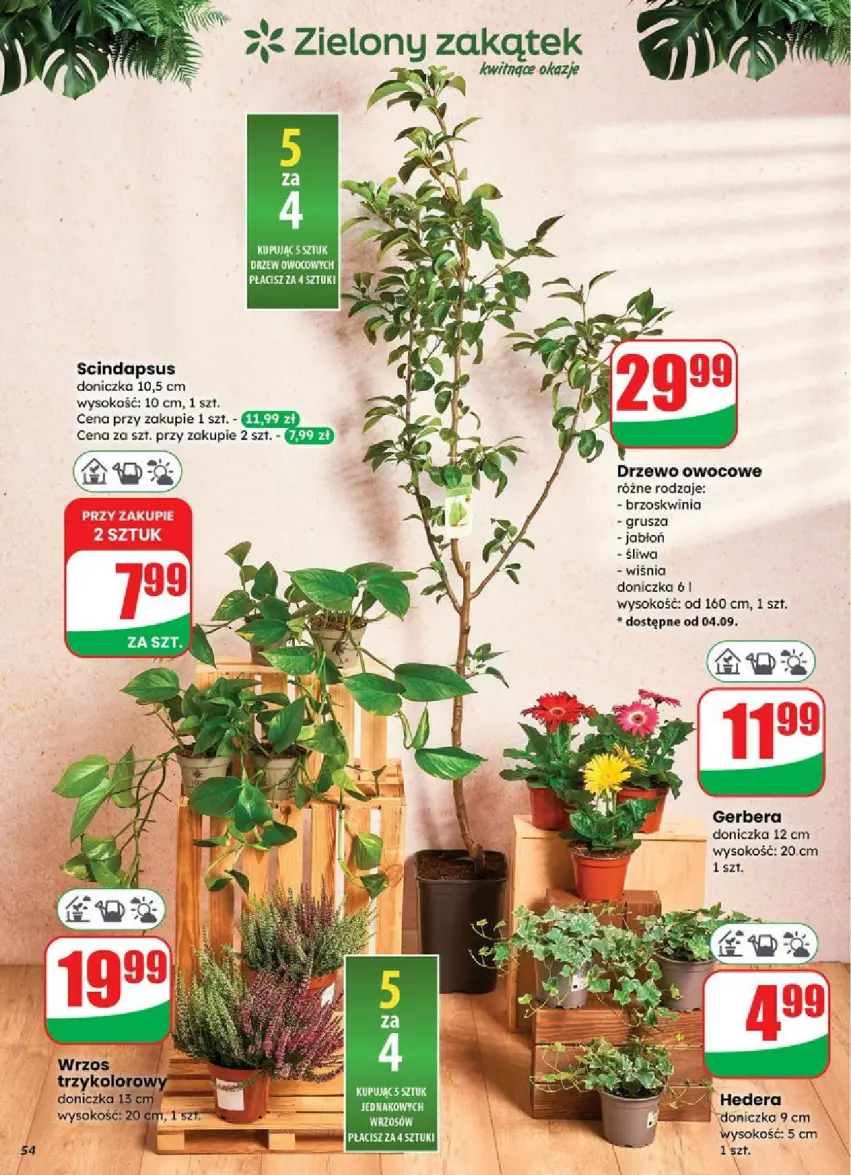 Gazetka promocyjna Dino - ważna 03.09 do 09.09.2025 - strona 50 - produkty: Sok