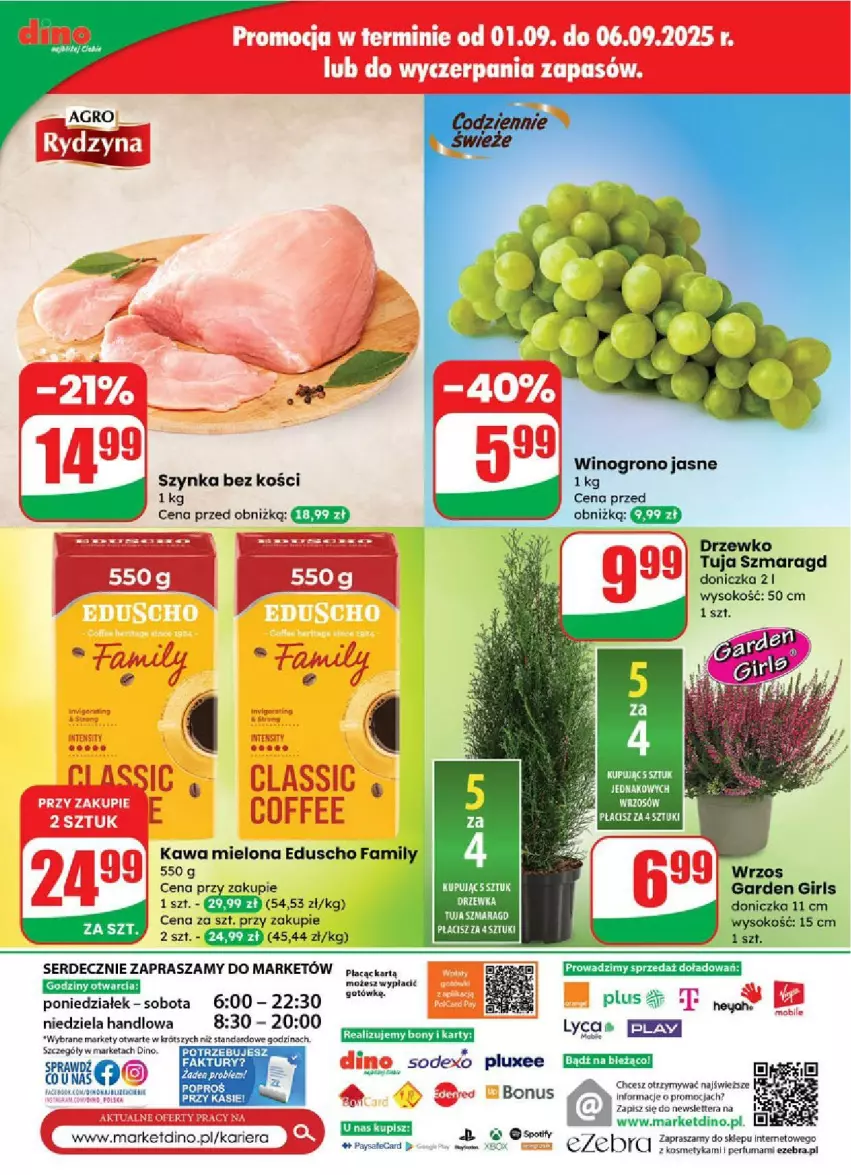 Gazetka promocyjna Dino - ważna 03.09 do 09.09.2025 - strona 68 - produkty: Fa, Kawa, Kawa mielona, Perfum, Sok, Szynka, Wino