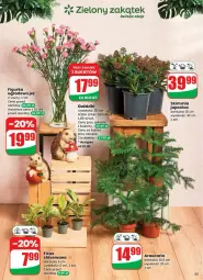Gazetka promocyjna Dino - Gazetka - ważna od 09.09 do 09.09.2025 - strona 49 - produkty: Sok, Bukiet