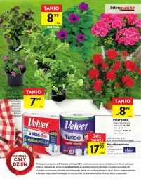 Gazetka promocyjna Intermarche - Gazetka Intermarche - Gazetka - ważna od 10.05 do 10.05.2023 - strona 16 - produkty: Koc, Papier, Surf, Velvet, Ręcznik