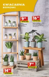 Gazetka promocyjna Biedronka - Gazetka - Biedronka.pl - Gazetka - ważna od 14.01 do 14.01.2023 - strona 12 - produkty: Hama, NBA, Chia, Wazon, LEGO