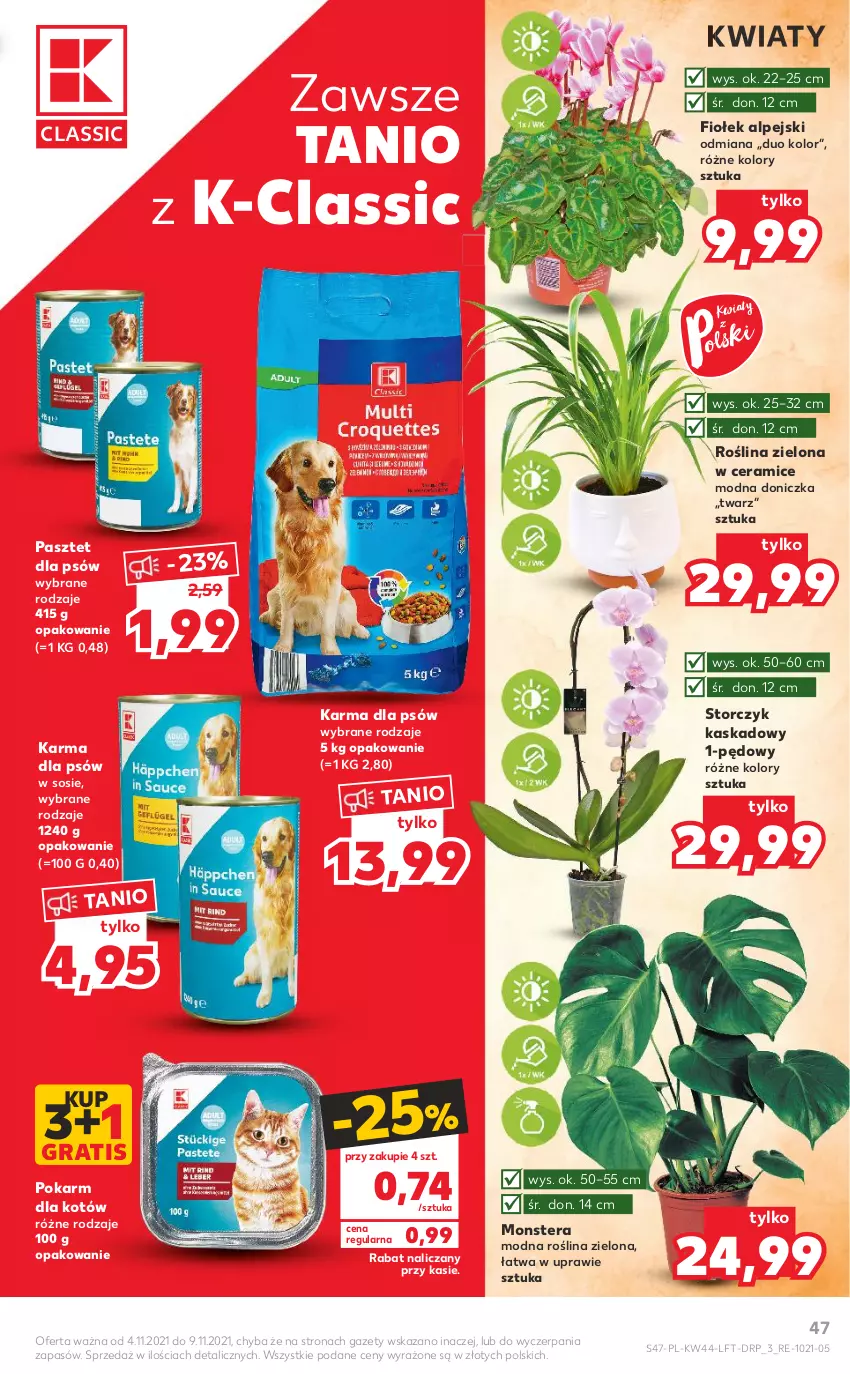 Gazetka promocyjna Kaufland - OFERTA TYGODNIA - ważna 04.11 do 09.11.2021 - strona 47 - produkty: Gra, Kask, Pasztet, Sos, Storczyk, Tera