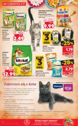 Gazetka promocyjna Kaufland - OFERTA TYGODNIA - Gazetka - ważna od 09.11 do 09.11.2021 - strona 46 - produkty: Piec, Gra, Rama, Pojemnik, KiteKat, Sheba, Pedigree, Sucha karma, Zwierzęta