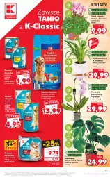 Gazetka promocyjna Kaufland - OFERTA TYGODNIA - Gazetka - ważna od 09.11 do 09.11.2021 - strona 47 - produkty: Sos, Gra, Pasztet, Kask, Tera, Storczyk