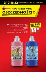 Gazetka promocyjna Biedronka - Od Poniedziałku - Gazetka - ważna od 14.12 do 14.12.2024 - strona 19 - produkty: Perfum, Tera