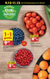 Gazetka promocyjna Biedronka - Od Poniedziałku - Gazetka - ważna od 14.12 do 14.12.2024 - strona 22 - produkty: Borówka, Borówka amerykańska