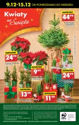 Gazetka promocyjna Biedronka - Od Poniedziałku - Gazetka - ważna od 14.12 do 14.12.2024 - strona 80 - produkty: Sok, Por, Gra, AEG, Telefon, Papier, Poinsecja, Kosz, Napoje, Lack, Fa