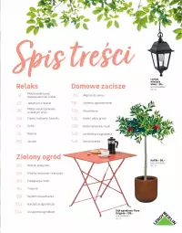 Gazetka promocyjna Leroy Merlin - Katalog ogród 2021 - Gazetka - ważna od 30.06 do 30.06.2021 - strona 5 - produkty: Hama, Warzywa, Jadalnia, Stół, Fotel, Flora, Grill, Gres, Lampa, Ogród, Meble, Lampa wisząca