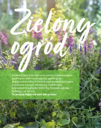 Gazetka promocyjna Leroy Merlin - Katalog ogród 2021 - Gazetka - ważna od 30.06 do 30.06.2021 - strona 84 - produkty: Owoce, Ogród