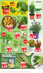 Gazetka promocyjna Kaufland - MOCNY START - Gazetka - ważna od 19.04 do 19.04.2023 - strona 7 - produkty: Sos, Gra, Pietruszka, Inka, Kolendra, Czosnek, Ziemniaki, Bazyl, Bazylia, Grunt, Mięta