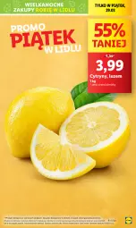 Gazetka promocyjna Lidl - GAZETKA - Gazetka - ważna od 30.03 do 30.03.2024 - strona 7 - produkty: Cytryny