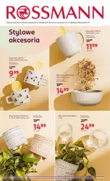 Gazetka promocyjna Rossmann - 24 kwietnia - Gazetka - ważna od 06.05 do 06.05.2025 - strona 16 - produkty: Owoce, Kubek, Miska