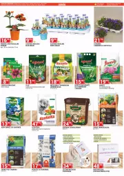 Gazetka promocyjna Merkury Market - Gazetka - ważna od 31.03 do 31.03.2023 - strona 48 - produkty: Campanula, Mus, Gra, Woreczek, Dzwonek, , Groch, Nawóz, Kokos, Fa