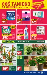 Gazetka promocyjna Aldi - Pełna oferta - Gazetka - ważna od 10.11 do 10.11.2023 - strona 25 - produkty: Top, Sok, Bell, Persil, Kalanchoe, Ręcznik, Rolki, Chusteczki, Podpaski, Bella, Mydło, Kapsułki do prania, Gala