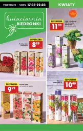 Gazetka promocyjna Biedronka - Od Poniedziałku - Gazetka - ważna od 22.03 do 22.03.2025 - strona 20 - produkty: Róża