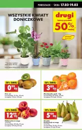 Gazetka promocyjna Biedronka - Od Poniedziałku - Gazetka - ważna od 22.03 do 22.03.2025 - strona 21 - produkty: Mandarynki, Kiwi, Wazon, Nektarynka, Nektar