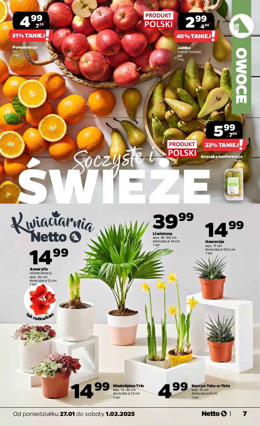 Gazetka promocyjna Netto - Od Poniedziałku - ważna 27.01 do 01.02.2025 - strona 7 - produkty: Amarylis, Kosz, Narcyz, Owoce