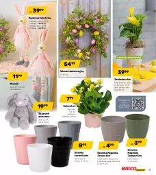Gazetka promocyjna Bricomarche - Gazetka - Gazetka - ważna od 28.03 do 28.03.2021 - strona 11 - produkty: Chia, Kalanchoe, Bieżnik, Osłonka, Fa