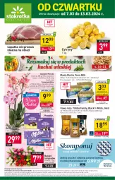 Gazetka promocyjna Stokrotka - Supermarket - Gazetka - ważna od 13.03 do 13.03.2024 - strona 1 - produkty: Tchibo, Warzywa, Tulipan, Cytryny, Kawa, Lack, Storczyk, Mleczko, Farm Milk, Czekolada, Bukiet, Tchibo Family, Owoce, Masło, Mięso, Milka, Fa