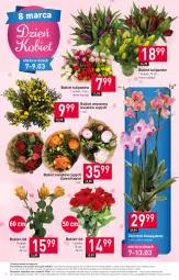 Gazetka promocyjna Stokrotka - Supermarket - Gazetka - ważna od 13.03 do 13.03.2024 - strona 6 - produkty: Warzywa, Tulipan, Storczyk, Bukiet, Owoce, Mięso