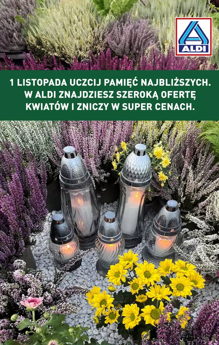 Gazetka promocyjna Aldi - Farmer ALDIK poleca świeże owoce i warzywa - ważna 28.10 do 02.11.2024 - strona 7 - produkty: JBL, Top, Znicz