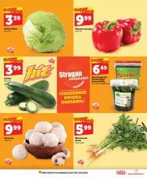 Gazetka promocyjna Topaz - Gazetka - Gazetka - ważna od 24.06 do 24.06.2026 - strona 13 - produkty: Piec, Top, Sałata lodowa, Papryka czerwona, Papryka, Ogórek, Sałat, Pieczarka