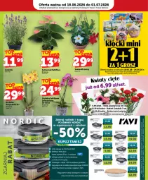 Gazetka promocyjna Topaz - Gazetka - Gazetka - ważna od 24.06 do 24.06.2026 - strona 73 - produkty: Top, Por, Róża, Klej, Pojemnik, Bukiet