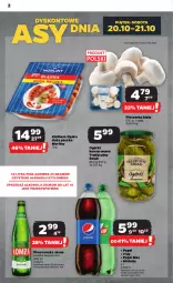 Gazetka promocyjna Netto - Artykuły spożywcze - Gazetka - ważna od 25.10 do 25.10.2023 - strona 2 - produkty: Piwa, Piwo, Piec, Ser, Gra, Pepsi max, Ogórki konserwowe, Mirinda, Pepsi, Pieczarka, Morliny, Kiełbasa, Kiełbasa śląska