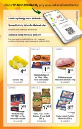 Gazetka promocyjna Stokrotka - Market - Gazetka - ważna od 16.03 do 16.03.2022 - strona 9 - produkty: Szynka wieprzowa, Cytryny, Kawa, Mlekovita, Wawel, Szynka, Czekolada, Jacobs, Herbata, Masło, Mleko, HP