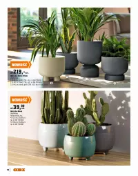 Gazetka promocyjna Obi - Gazetka OBI - Gazetka - ważna od 31.08 do 31.08.2025 - strona 58 - produkty: Sok, Por, Gra, Kwietnik