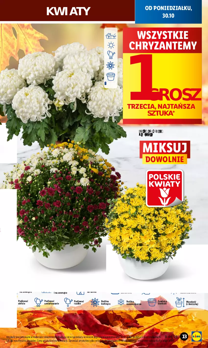 Gazetka promocyjna Lidl - GAZETKA - ważna 30.10 do 31.10.2023 - strona 21 - produkty: Cień, O nas, Por, Sok