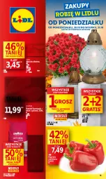 Gazetka promocyjna Lidl - GAZETKA - Gazetka - ważna od 31.10 do 31.10.2023 - strona 1 - produkty: Piec, Kurczak, Gra, Kupiec, Papryka czerwona, Papryka, Znicz, Masło, Olej