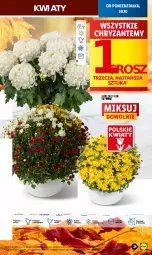 Gazetka promocyjna Lidl - GAZETKA - Gazetka - ważna od 31.10 do 31.10.2023 - strona 21 - produkty: Sok, Por, Cień, O nas