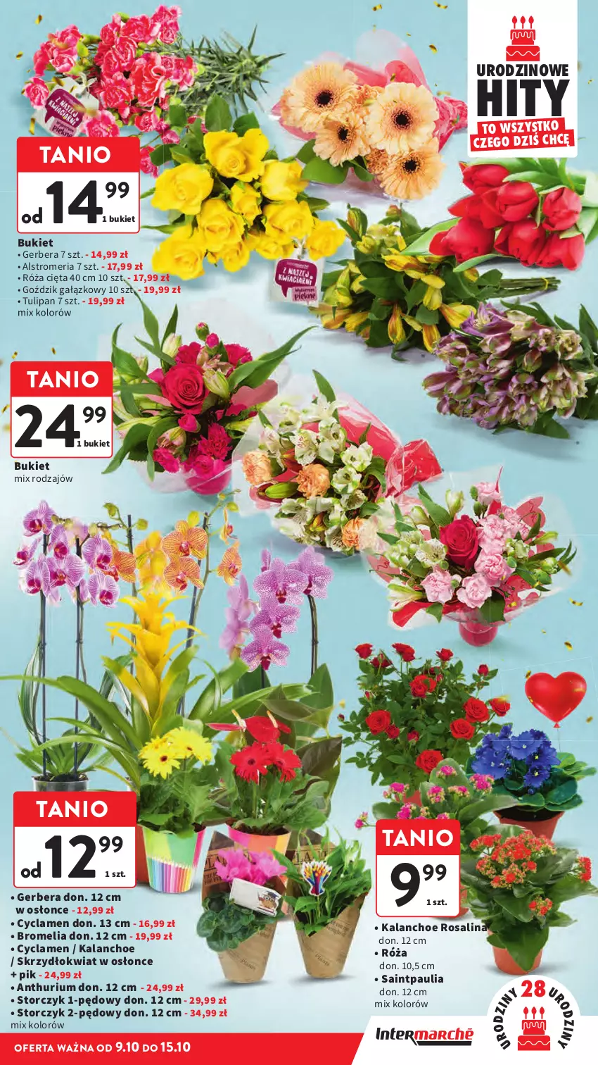 Gazetka promocyjna Intermarche - Gazetka promocyjna - ważna 09.10 do 15.10.2025 - strona 11 - produkty: Bromelia, Bukiet, Gerber, Kalanchoe, Róża, Tulipan