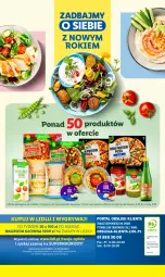 Gazetka promocyjna Lidl - GAZETKA - Gazetka - ważna od 05.01 do 05.01.2024 - strona 38 - produkty: Gry, Mola