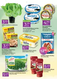Gazetka promocyjna Stokrotka - Stokrotka Express - Gazetka - ważna od 21.09 do 21.09.2022 - strona 2 - produkty: Kurczak, Ketchup, Sos, Ser, Rama, Winiary, Serek, Margaryna, Camembert, Morliny, Pudliszki, Kiełbasa, Kiełbasa śląska