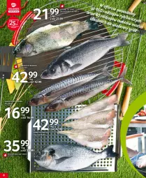 Gazetka promocyjna Selgros - Katalog Grill - Gazetka - ważna od 04.05 do 04.05.2022 - strona 8 - produkty: Pstrąg tęczowy, Pstrąg, Dorsz, Grill