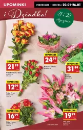 Gazetka promocyjna Biedronka - Od Poniedziałku - Gazetka - ważna od 25.01 do 25.01.2025 - strona 19 - produkty: Sok, Róża, Bukiet