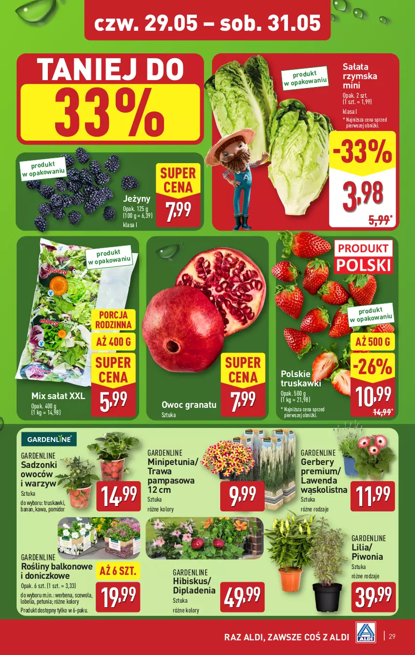 Gazetka promocyjna Aldi - Pełna oferta - ważna 26.05 do 31.05.2025 - strona 29 - produkty: Gerber, Gra, Granat, Hibiskus, Jeżyny, Kawa, Piwo, Por, Sałat, Truskawki