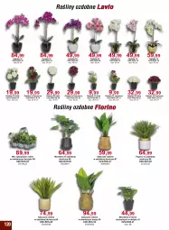 Gazetka promocyjna Bodzio - Gazetka - ważna od 30.04 do 30.04.2022 - strona 120 - produkty: Kosz, Tera, Ozdoba