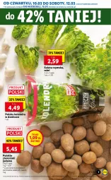Gazetka promocyjna Lidl - GAZETKA - Gazetka - ważna od 13.03 do 13.03.2022 - strona 7 - produkty: Por, Kolendra, Ziemniaki, Sałat