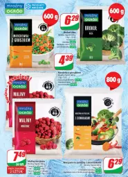 Gazetka promocyjna Dino - Gazetka 35 / 2024 - Gazetka - ważna od 03.09 do 03.09.2024 - strona 25 - produkty: Warzywa, Róża, Maliny, Ogród