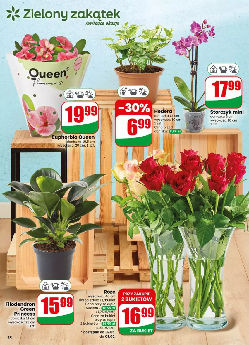 Gazetka promocyjna Dino - Gazetka 19 / 2026 - ważna 06.05 do 12.05.2026 - strona 58 - produkty: Bukiet, Sok, Storczyk