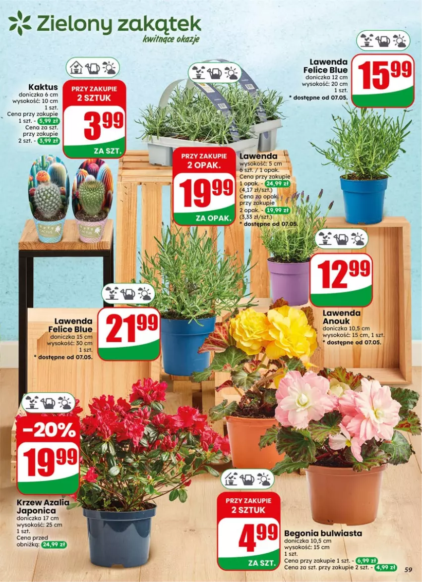 Gazetka promocyjna Dino - Gazetka 19 / 2026 - ważna 06.05 do 12.05.2026 - strona 59 - produkty: Kaktus, Sok